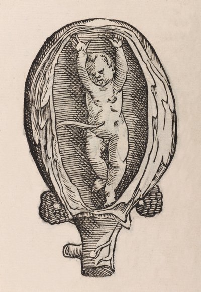 Partus non naturalis manibus funra canut porrectie de Unbekannt