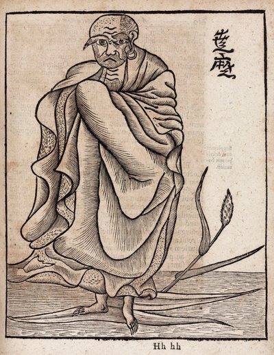 Retrato de Bodhidharma (v de Unbekannt