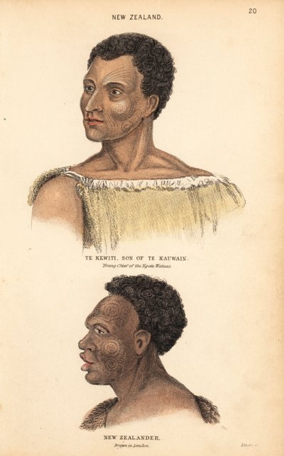 Retrato de Te Kewiti, filho de Te Kauwain, jovem chefe dos Maori Ngate Watnas, Nova Zelândia, e retrato de um Maori tatuado, neozelandês, desenhado em Londres por Agasse. Gravura em metal aço colorida à mão por Lizars após uma ilustração de Charles Hamilto de Unbekannter Künstler