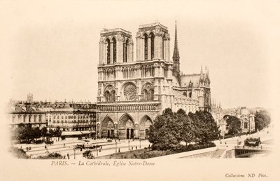 Cartão Postal/Notre Dame/Paris/Seine/Ile de France/France de William M. Timlin