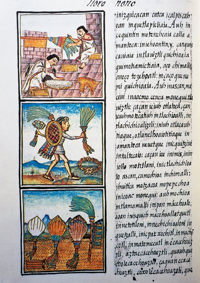 Processamento de penas, texto em Nahuati, de fac-símile do manuscrito História Geral das Coisas da Nova Espanha, também conhecido como Codex Florentino, de Bernardino de Sahagun de William M. Timlin