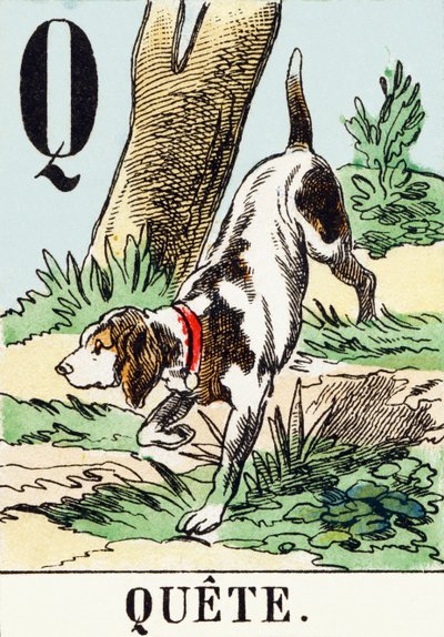 Q: Quete - O Alfabeto de Caça, c.1890 (gravura) de Unbekannt