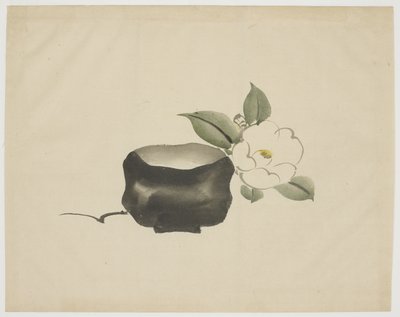 Raku Tea Bowl e White Camellia de Unbekannt