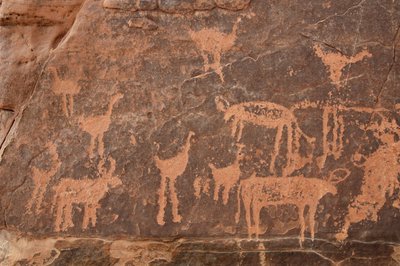 Arte rupestre, Pré-história: Detalhe de uma gravura de um conjunto de avestruzes e gado no maciço de Uweinat, Egipto (Período de 8000 a 3000 anos antes de Cristo). Fotografia de Unbekannt