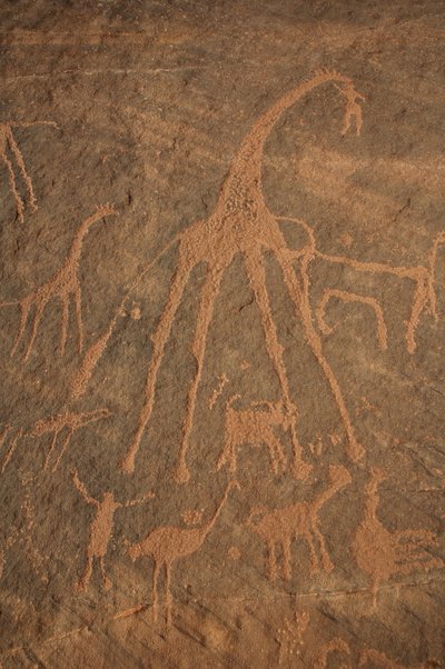 Arte rupestre, Pré-história: Gravura de girafas, avestruzes, ovelhas e personagens no maciço de Uweinat, Sudão (Karkur-Talh ou Karkur Talh). Período de 8000 a 3000 anos antes de Cristo. Fotografia de Unbekannt