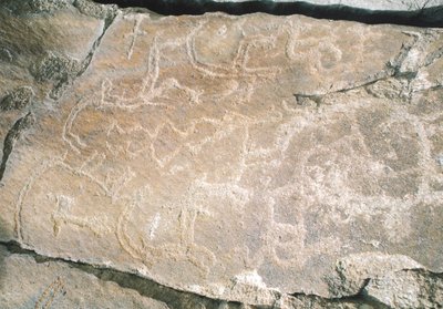 Esculturas rupestres em Hunza Valley, perto da área arqueológica de Karimabad, Paquistão de William M. Timlin