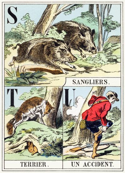 S T U : Sanglier, Terrier, Un accident - The Hunting Alphabet, c.1890 (gravura) de Unbekannt