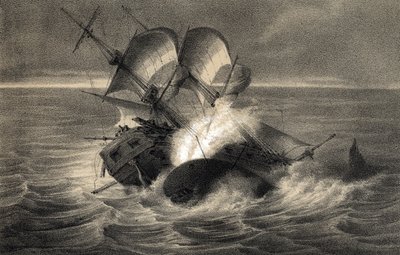Naufrágio do navio baleeiro "Essex" em 20 de Novembro de Unbekannter Künstler