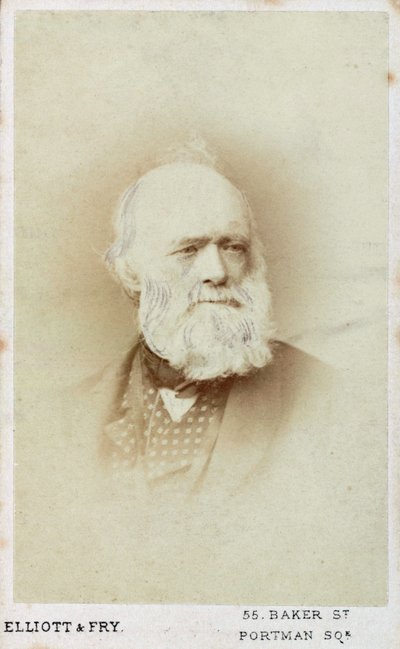 Sir Charles Lyell, geólogo inglês, c1865-1875 de Unbekannt