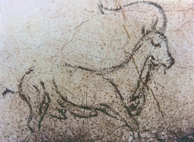 Cabra espanhola, período Paleolítico, c.40000-12000 aC (pintura rupestre) de Unbekannter Künstler