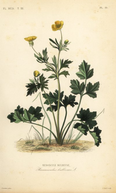 St de Unbekannt