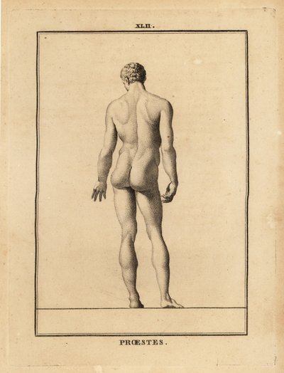 Estátua de Orestes, nu, filho de Agamémnon na mitologia grega de Unbekannt