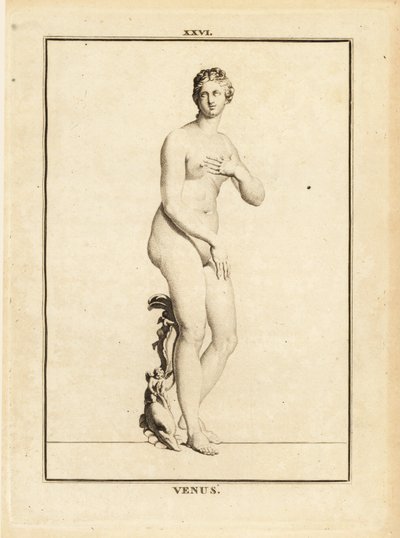 Estátua de Vénus, deusa romana do amor, da beleza, do sexo e da fertilidade de Unbekannt