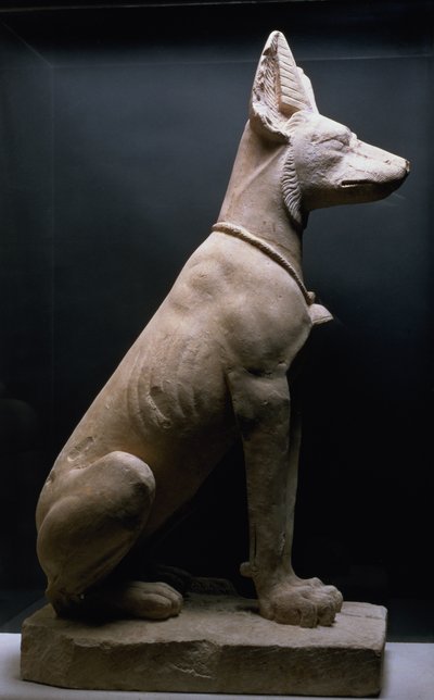 Estátua de um cão, Mesopotâmia, c.5000-1000 BC (calcário) de Unbekannt