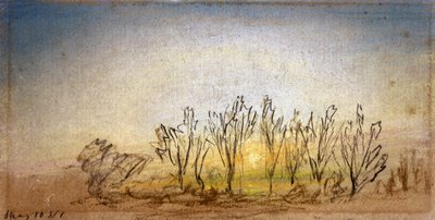 Pôr do sol com 