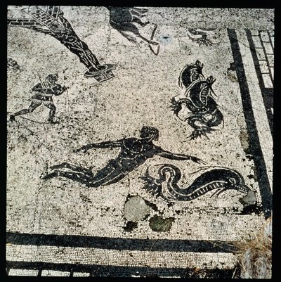 Nadar com os Golfinhos, do Frigidarium of the Baths em Ostia, Século II d.C. (mosaico) de Unknown