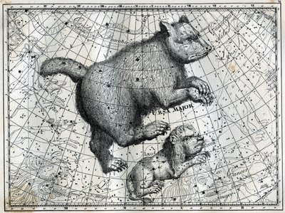 As Constelações Boreal: o Grande Urso e o Leãozinho. Gravura de "Les étoiles et les autres curiosites du ciel", de Camille Flammarion. de Unbekannt