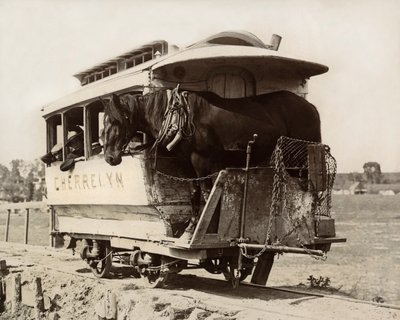 The Cherrelyn Horse Car, Denver, Colorado, c.1890 (foto a p/b) de Nicolas Liez
