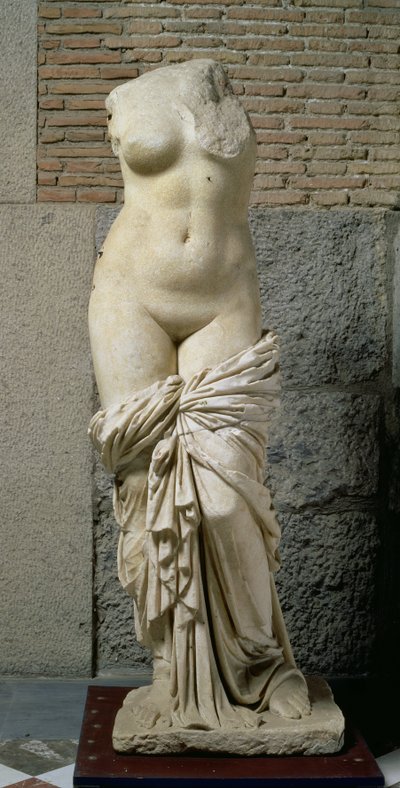 A Afrodita Sinuessa (mármore) de Unbekannt