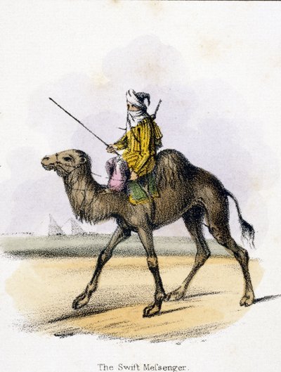 O Swift Messenger