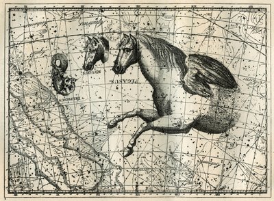 A constelação de Pegase, desenha como a metade anteriora de um cavalo com um par de asas, o Cavalinho, a cabeça de um cavalo e o Golfinho. Gravura de "Les étoiles et les autres curiosites du ciel" de Camille Flammarion de Unbekannt
