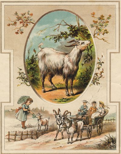 O bode. Gravura em "Mon premier Grand Alphabet". Bernardin-Bechet Edition, Paris, cerca de 1890. Ilustrações de A. des Lilleuls. Sem página, 46 páginas. Dim: 31x22cm . de Unbekannt