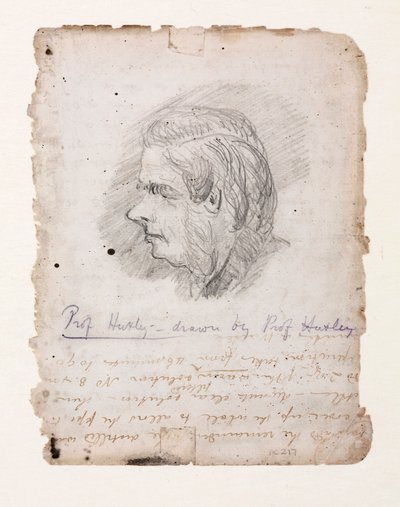 Thomas Henry Huxley, biólogo inglês, meados do século XIX de Unbekannt