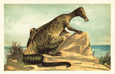 Trachodon mirabilis, dinossauro hadrosaurad extinto.1908 (litografia) de Unbekannter Künstler