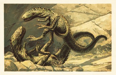 Dois combatendo Dryptosaurus aquilunguis.1908 (litografia) de Unbekannter Künstler