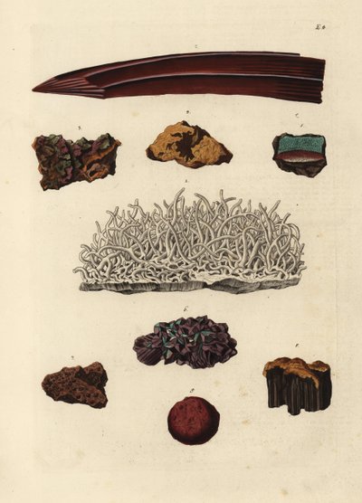 Variedades de minério de ferro. Gravura em chapa de cobre colorida à mão, segundo uma ilustração de Deliciae Naturae Selectae de Georg Wolfgang Knorr do Kabinet van Zeldzaamheden der Natuur, Blusse and Son, Nuremberga de Unbekannter Künstler