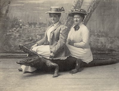 Mulheres sentadas sobre um jacaré de peluche, c.1905 (foto a p/b) de Unbekannter Künstler