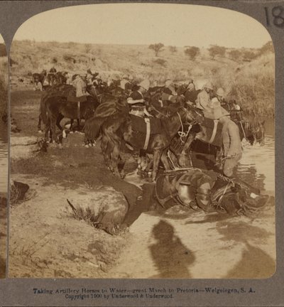 Cavalos de artilharia molhando, Welgelegen, África do Sul de Underwood and Underwood