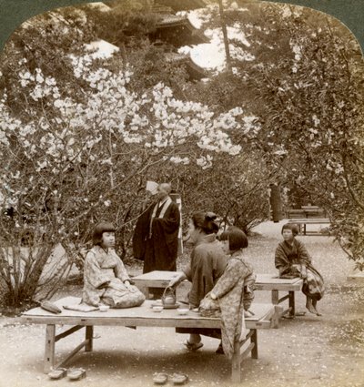 Família desfrutando de um piquenique sob as flores de cerejeira, Omuro Gosho, Kyoto, Japão, 1904. de Underwood and Underwood