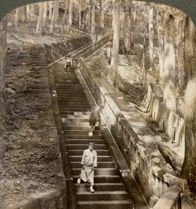 Escada de pedra antiga até a colina do túmulo do Shogun Ieyasu, Nikko, Japão, 1904. de Underwood and Underwood