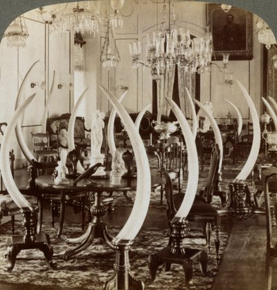 Hall of Tusks, na casa de Lady de Soysa, Bambalapitiya, Colombo, Ceilão, 1903 de Underwood and Underwood