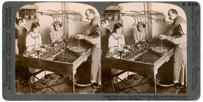 Fabricação de seda, Síria, de 1900. de Underwood and Underwood
