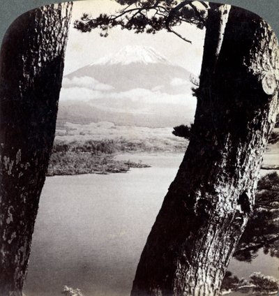 Monte Fuji, visto do noroeste, através de pinheiros no Lago Motosu, Japão, 1904 de Underwood and Underwood