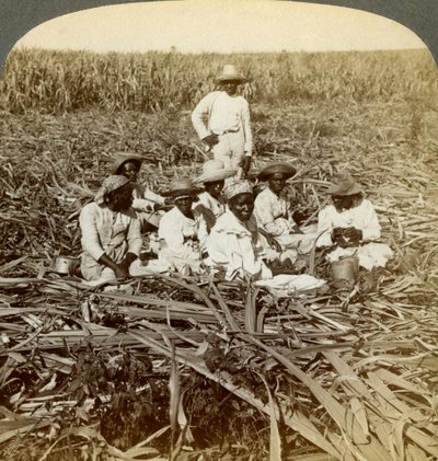 Na plantação de açúcar de La Union, San Luis, província de Santiago, Cuba, 1899. de Underwood and Underwood
