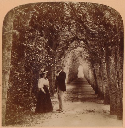 Rainha Marys Bower, Hampton Court, Londres, Inglaterra, 1896. de Underwood and Underwood