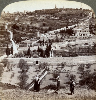 O Jardim do Getsêmani e o Monte das Oliveiras, Palestina, 1908. de Underwood and Underwood