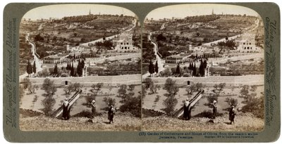 O Jardim do Getsêmani e o Monte das Oliveiras, Palestina, 1908. de Underwood and Underwood
