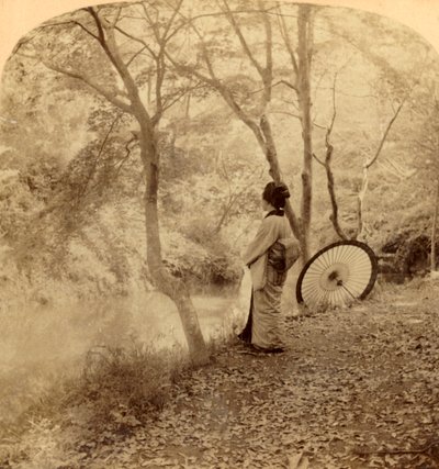 Os dias dourados do outono no Japão, 1896. de Underwood and Underwood