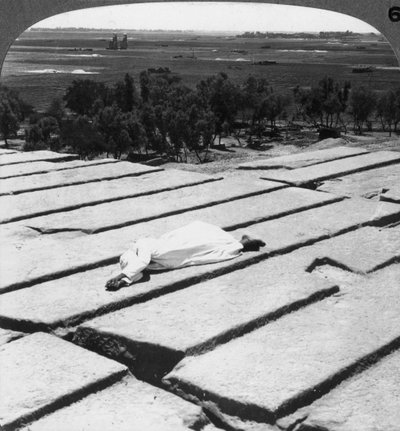 Vista de Tebas e os colossos de Memnon, como visto do Ramesseum, Egito, 1905. de Underwood and Underwood