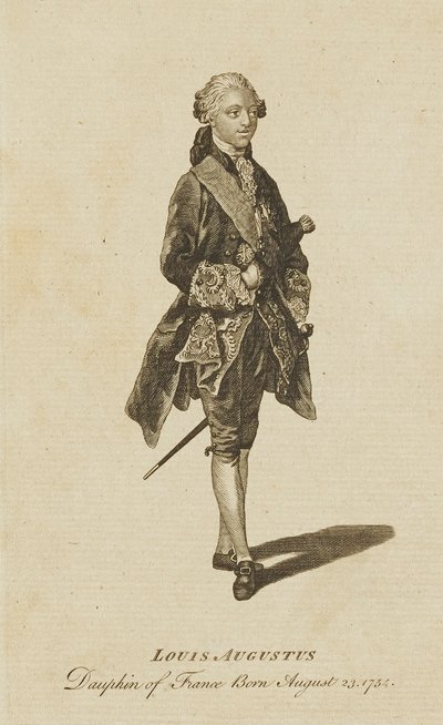 Luís Augusto, Delfim de França de Unidentified