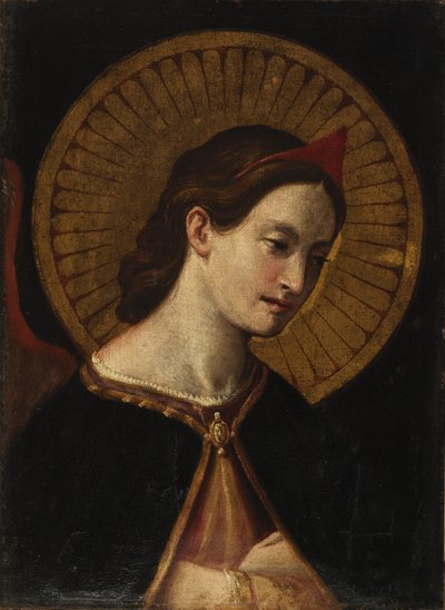 Santo de Unidentified