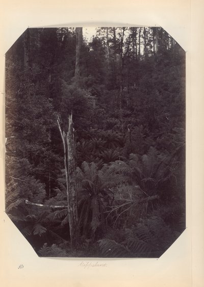 Austrália - (Victoria e S. Austrália) de Unknown