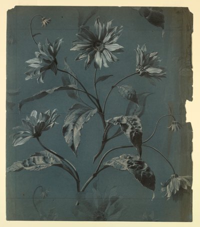 Design para papel de parede ou têxtil de flor tipo margarida com repetição de Unknown