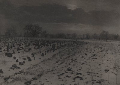 Campo de couves sob a neve de Unknown