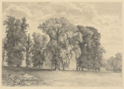 Prado e árvores de Unknown