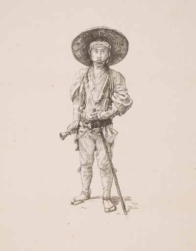 Peregrino de Unknown